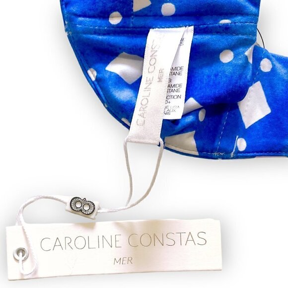 NWT Caroline Constas  Kali blue printed bikini 2 piece sets. Size L - Picture 7 of 12